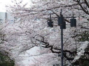 DSCF1904
