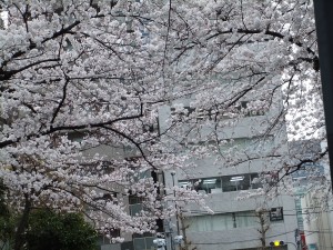 DSCF1907