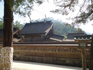 DSC00225
