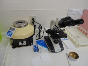 DSC00338